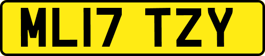 ML17TZY