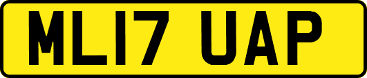 ML17UAP