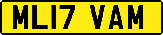 ML17VAM