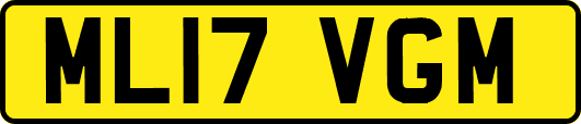 ML17VGM