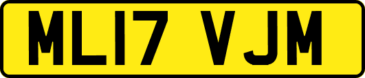 ML17VJM