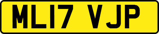 ML17VJP