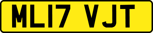 ML17VJT
