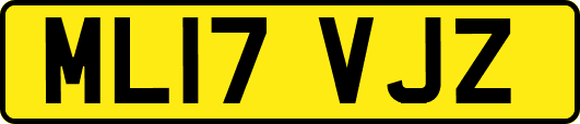 ML17VJZ
