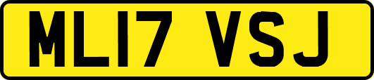 ML17VSJ