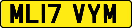 ML17VYM