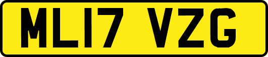 ML17VZG