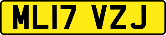 ML17VZJ