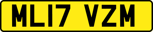 ML17VZM