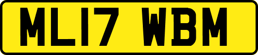 ML17WBM