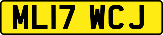 ML17WCJ