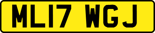 ML17WGJ