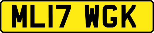 ML17WGK