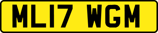 ML17WGM