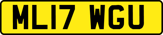 ML17WGU