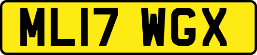 ML17WGX