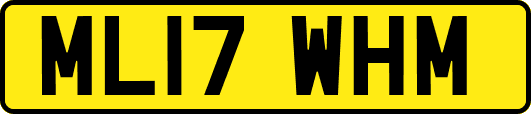ML17WHM