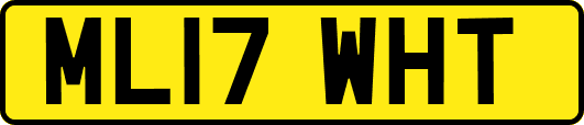 ML17WHT