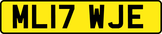 ML17WJE
