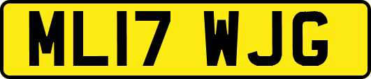 ML17WJG