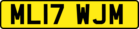 ML17WJM