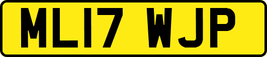 ML17WJP