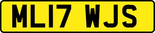 ML17WJS