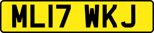 ML17WKJ