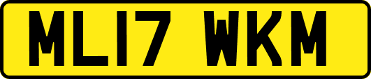 ML17WKM