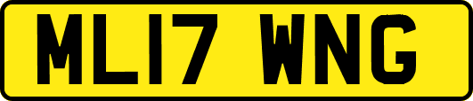ML17WNG