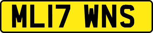 ML17WNS