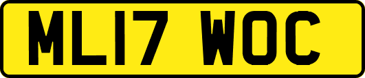 ML17WOC