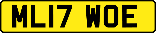 ML17WOE