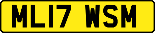 ML17WSM