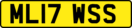 ML17WSS