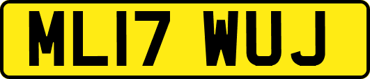 ML17WUJ