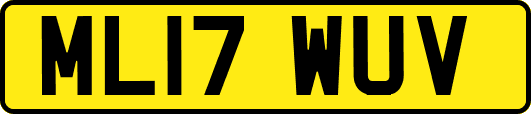 ML17WUV