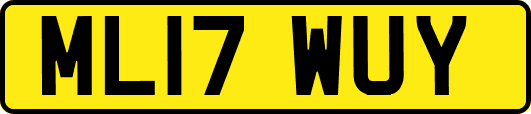 ML17WUY