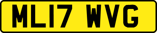 ML17WVG