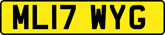 ML17WYG