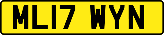 ML17WYN