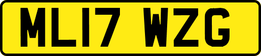 ML17WZG