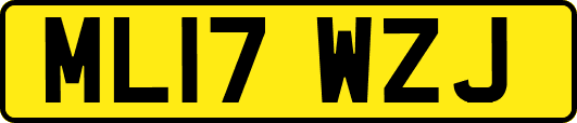 ML17WZJ