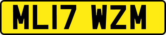 ML17WZM