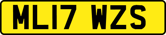 ML17WZS