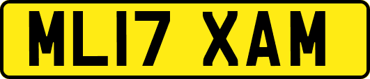 ML17XAM