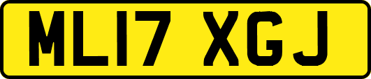 ML17XGJ