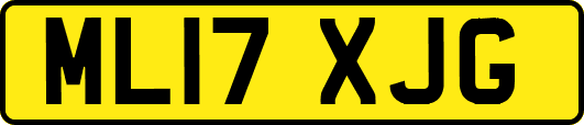 ML17XJG