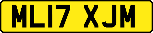ML17XJM