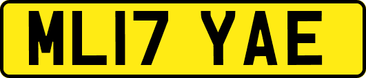 ML17YAE